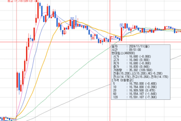 [24년11월11일] - 매매 일지
