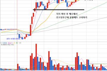 [24년 11월 15일] - 주식 초보 매매 일지(로보로보, 노브랜드, 유진로봇, SG)