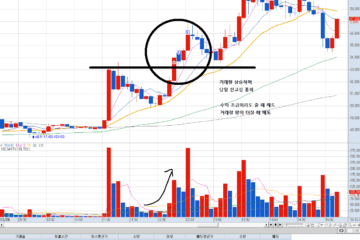 주식 초보 11월 매매 결산